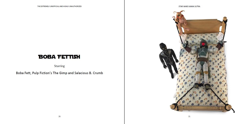 Illustration for article titled Star Wars Kama Sutra Book Is Surprisingly SFW